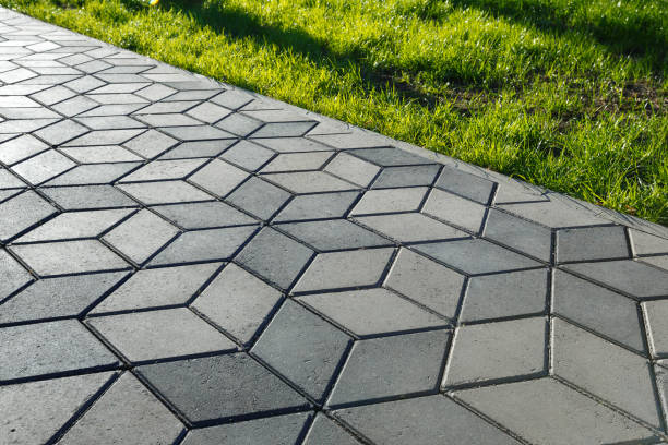 Best Local Driveway Pavers  in Rocky Point, NC